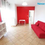 Rent 2 bedroom apartment of 36 m² in Novara