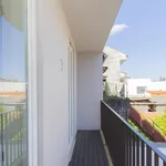 Rent 1 bedroom apartment in Porto