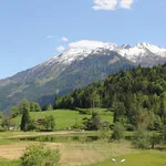 Helle 1-Zimmer Wohnung in Goldegg zu vermieten!