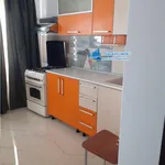 Rent 2 bedroom apartment of 40 m² in Pitești