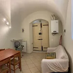 Rent 1 bedroom apartment of 45 m² in Pisa