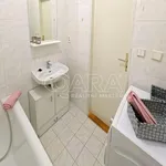 Rent 1 bedroom apartment of 37 m² in Králův Dvůr