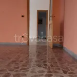 Rent 4 bedroom apartment of 155 m² in Trani