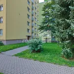 Rent 2 bedroom apartment of 45 m² in Liberec