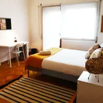 Rent 5 bedroom apartment in porto