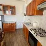 Rent 2 bedroom apartment of 45 m² in Pavia