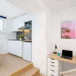 Studio o rozloze 18 m² v prague