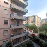 Rent 3 bedroom apartment of 70 m² in Genova