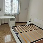 Rent 3 bedroom apartment of 100 m² in Milan