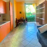 Rent 2 bedroom apartment of 50 m² in Arezzo