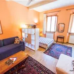 Rent 1 bedroom apartment of 49 m² in Florence