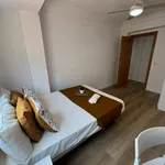 Alquilar 4 dormitorio apartamento en Valencia