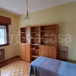 Rent 3 bedroom apartment of 80 m² in Roma