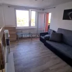 Rent 2 bedroom apartment of 39 m² in Legnica