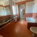 Rent 1 bedroom apartment of 75 m² in garbagnate milanese