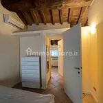 Rent 2 bedroom apartment of 50 m² in Piacenza