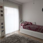 Rent 6 bedroom house of 143 m² in Zandrijk