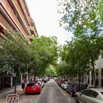 Rent a room of 150 m² in Badajoz