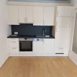 Rent 2 bedroom apartment of 46 m² in Wien