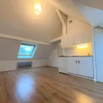 Rent 2 bedroom apartment of 30 m² in Wintzenheim