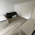 Rent 1 bedroom apartment of 35 m² in Frankfurt am Main