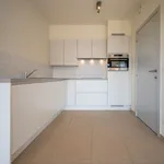 Rent 1 bedroom apartment in Kruishoutem