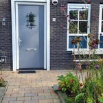 Rent 4 bedroom house of 118 m² in Assen