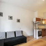 Rent 2 bedroom apartment of 48 m² in Capital City of Prague