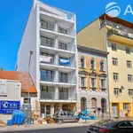 Rent 1 bedroom apartment of 33 m² in Brno