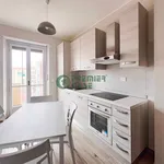 Rent 2 bedroom apartment of 50 m² in Turin