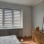 Rent 2 bedroom apartment of 49 m² in Łódź