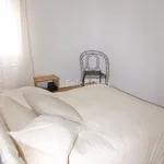 Rent 4 bedroom apartment of 80 m² in Livorno