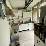 Rent 4 bedroom apartment of 79 m² in Rotterdam