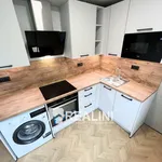 Rent 2 bedroom apartment of 60 m² in Ostrava