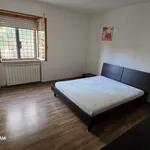 Rent 3 bedroom apartment of 70 m² in Roma