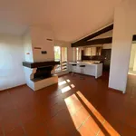 Rent 3 bedroom apartment of 66 m² in PECHBUSQUE