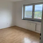 Rent 3 bedroom apartment of 67 m² in Siegen