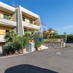 Rent 2 bedroom apartment of 60 m² in San Gregorio di Catania