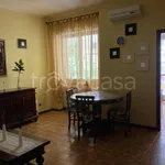 Rent 3 bedroom apartment of 60 m² in Roma