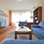 Rent 2 bedroom apartment of 55 m² in Debrecen