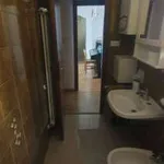 Rent 2 bedroom house of 65 m² in Bologna