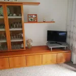 Rent 1 bedroom apartment of 100 m² in Grezzana