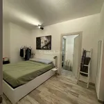 Rent 3 bedroom apartment of 60 m² in Turin