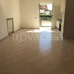 Rent 3 bedroom apartment of 70 m² in Roma