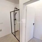 Rent 2 bedroom apartment of 76 m² in Pelhřimov