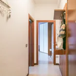 via vittorio veneto, Milan - Amsterdam Apartments for Rent