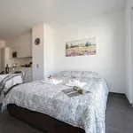 Rent 1 bedroom apartment of 40 m² in Paradiso