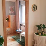 Miete 2 Schlafzimmer wohnung von 45 m² in Nuremberg