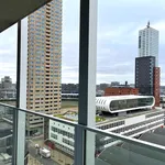 Rent 2 bedroom apartment in Rotterdam