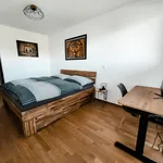 Miete 1 Schlafzimmer wohnung von 52 m² in Vienna